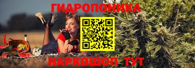 spice Анжеро-Судженск