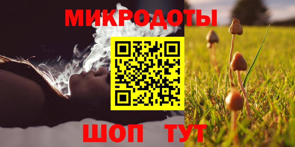 Анапа  Псилоцибиновые грибы Psilocybine cubensis  Вход с VPN 